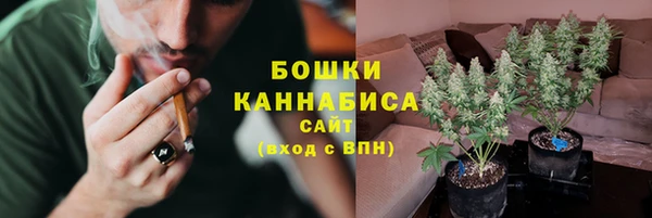 ГАЛЛЮЦИНОГЕННЫЕ ГРИБЫ Дмитров
